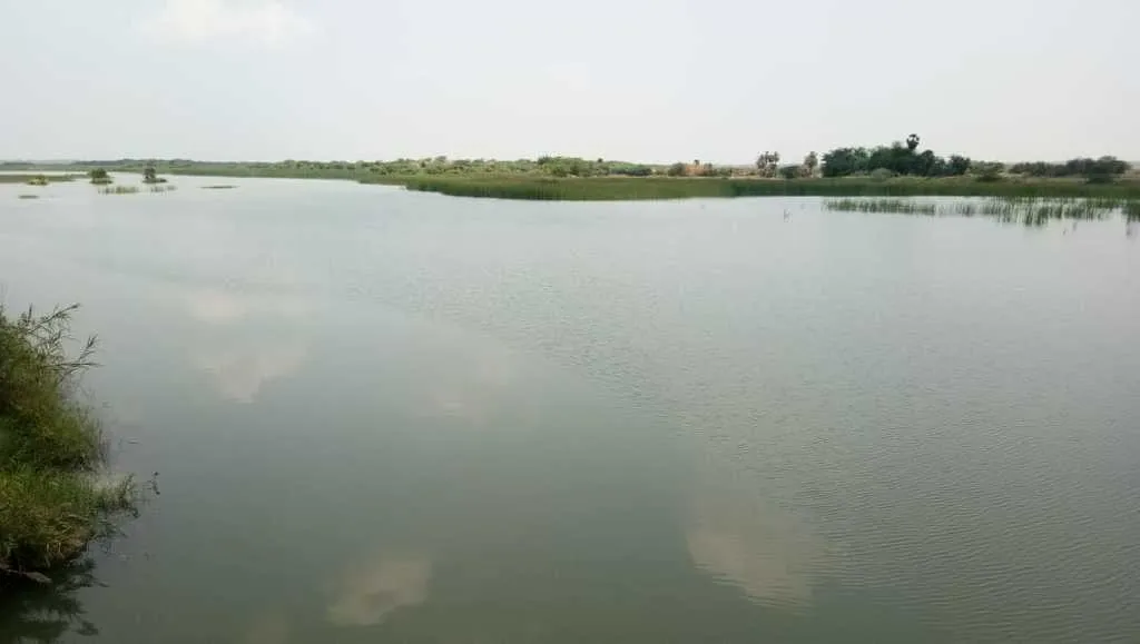Cuddalore District Water Levels to cure the thirst of the people of Chennai